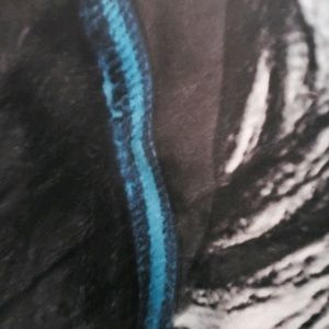 Meet your Posher, Cheyenne